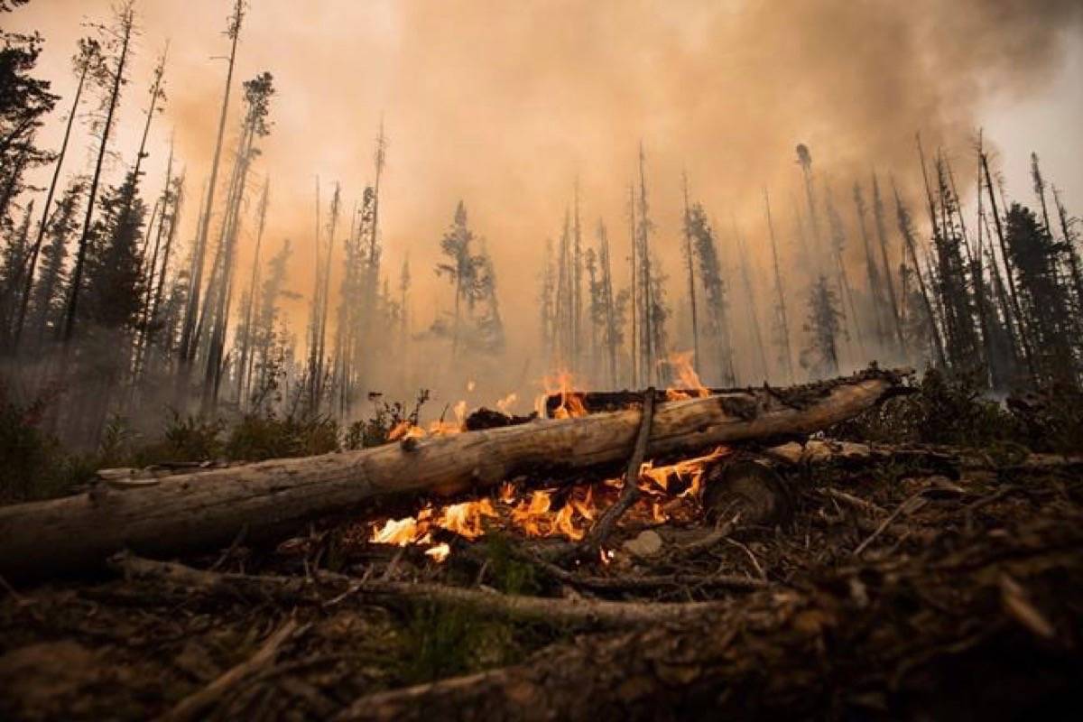 Inhaling smoke from a wildfire can be equal to smoking a couple of packs of cigarettes a day depending on its thickness, says a researcher studying wildfires in Western Canada. A wildfire burns on a logging road approximately 20 km southwest of Fort St. James, B.C., on Wednesday, Aug. 15, 2018. (Darryl Dyck/The Canadian Press)