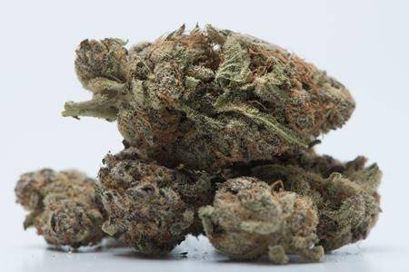 StatCan says number of cannabis users relatively unchanged since legalization