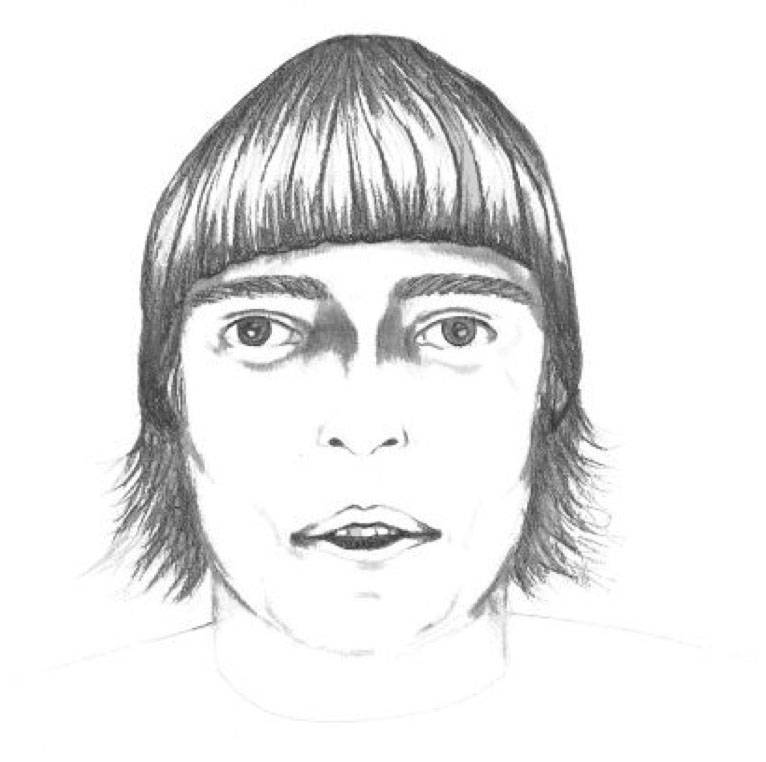 Red Deer RCMP look for suspect in hit and run collision