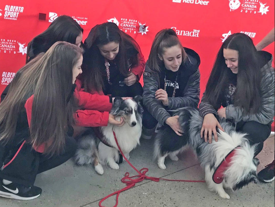Canada Winter Games athletes spend time with the pet therapy dogs Booker and Dylan at the Gary W. Harris Canada Games Centre. Mark Weber/Red Deer Express