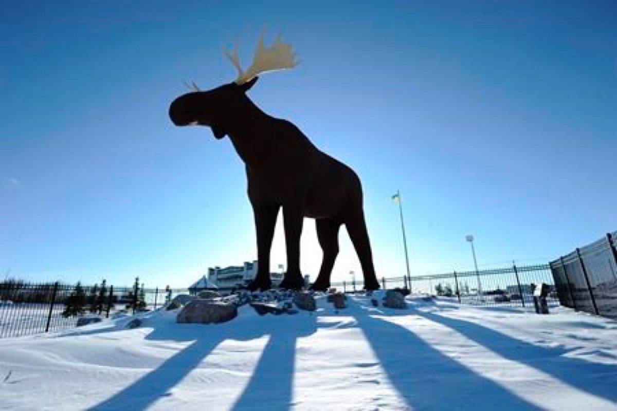 Mac the Moose, pictured in Moose Jaw, Sask., on Tuesday, Feb. 25, 2019, is competing with another moose statue in Stor-Elvdal, Norway, over which hooved ungulate stands higher. THE CANADIAN PRESS/Mark Taylor