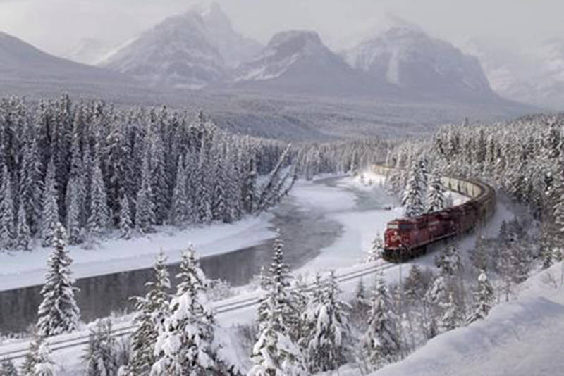 Parks Canada is worried spilled grain from a derailed train in Banff National Park will attract hungry grizzly bears to the tracks as they emerge from hibernation in the coming weeks. A Canadian Pacific freight train travels around Morant’s Curve near Baker Creek, Alta. on Monday December 1, 2014. (Frank Gunn/The Canadian Press)