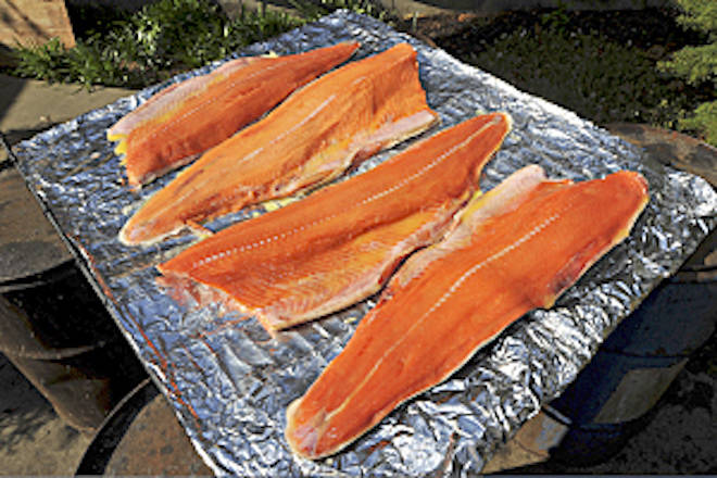 U.S. regulators clear path for genetically modified salmon
