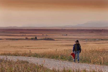 Alberta First Nation votes to accept $150M settlement over mismanaged cattle