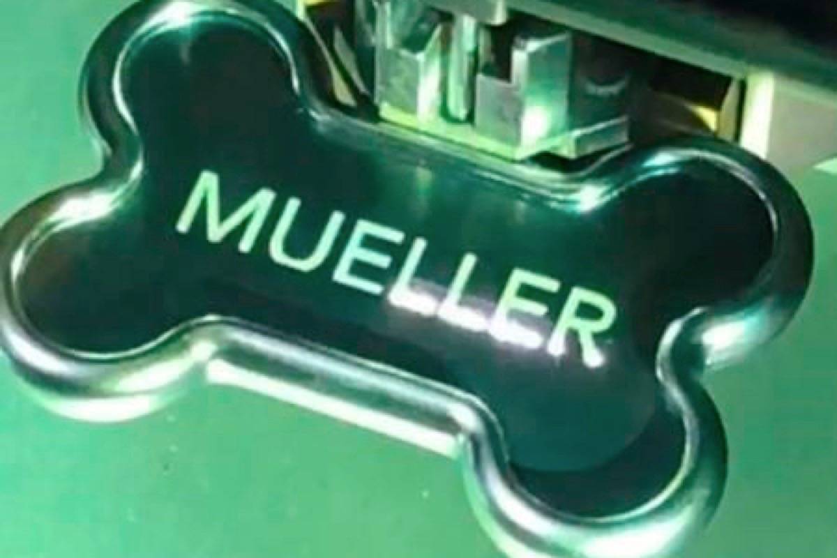 In this March 13, 2019 image from video provided by Alicia Barnett, her dog’s tag is laser engraved with his name, “Mueller,” at a pet store in Kansas City, Kan. At Christmas, her teenage son brought home a 10-week-old chocolate lab. ‚ÄúThe strong, silent type,‚Äù Barnett observed. And then she named him ‚ÄúMueller‚Äù _ an homage to the stoic special prosecutor appointed to investigate Russian interference in the 2016 election and whether members of the Trump campaign played any part. (Alicia Barnett via AP)